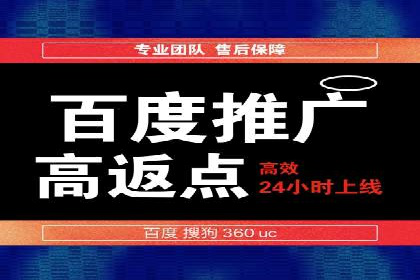 百度竞价排名实战：某电商平台的成功之路